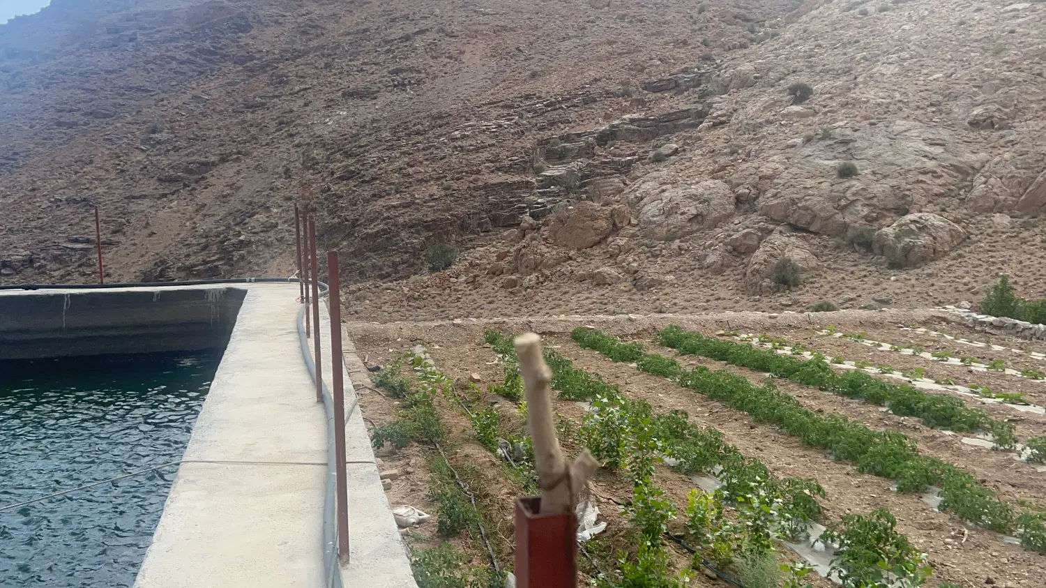 زمین ارزان مفت اکرمیه