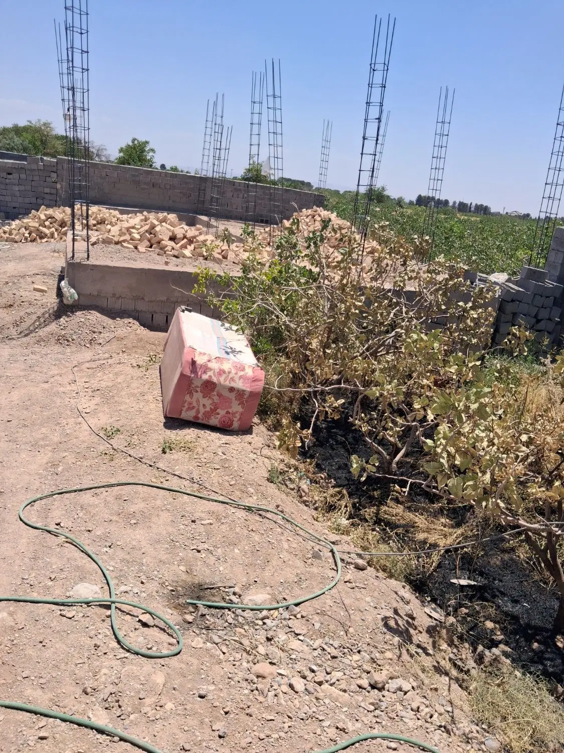 یک قطعه زمین  حدودا ۴قصب