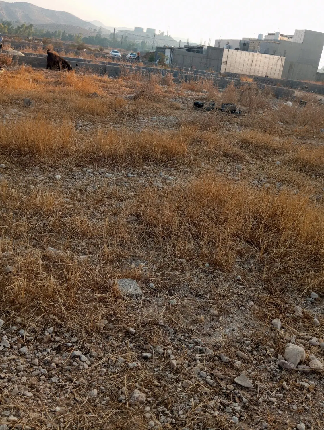 زمین در روستای چاهه
