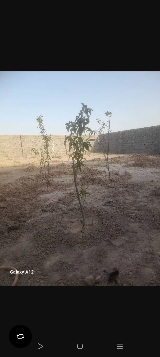 ۲۷۰ متر زمین
