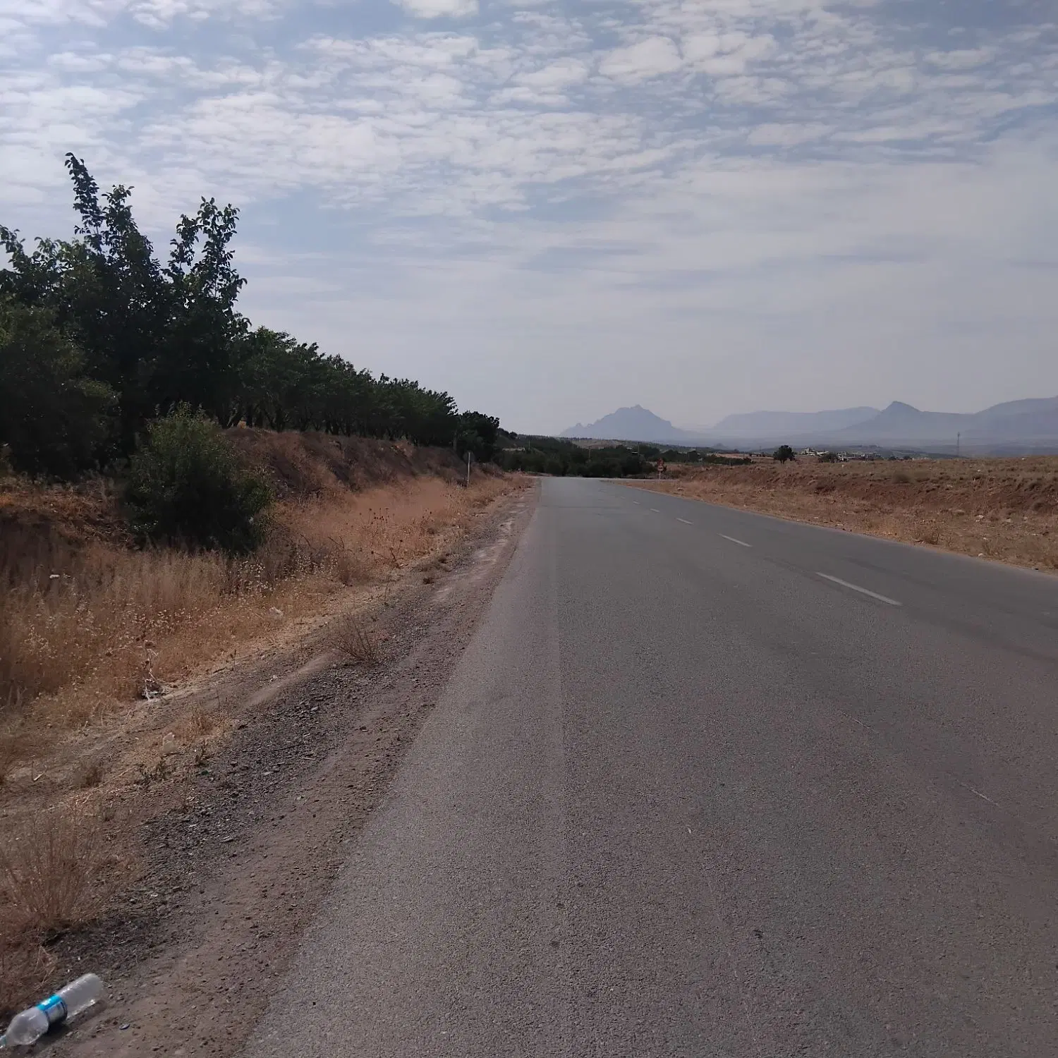 زمین کشاورزی بادام گردو.موقعیت عالی