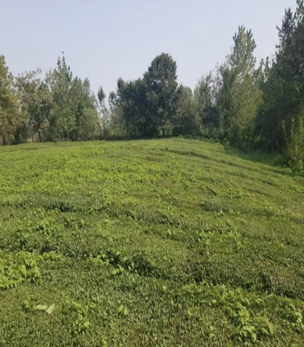 زمین فروشی در شمال