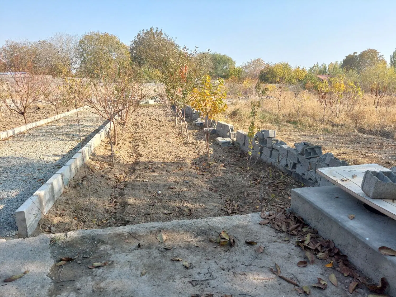 باغچه ۵۰۰ خوشنام اکسیر شرقی