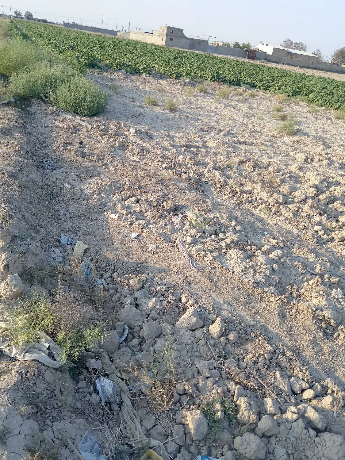 زمین زینبیه