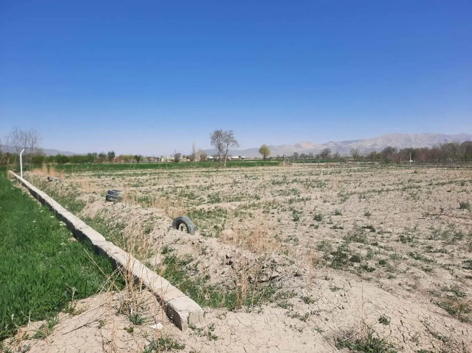 زمین کشاورزی