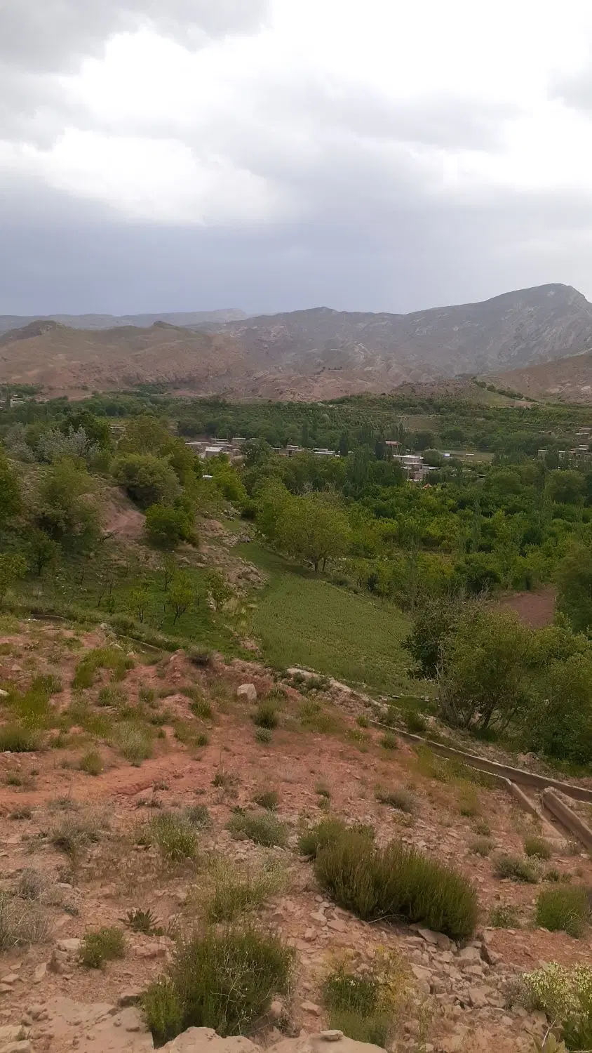 باغ گیلاس
