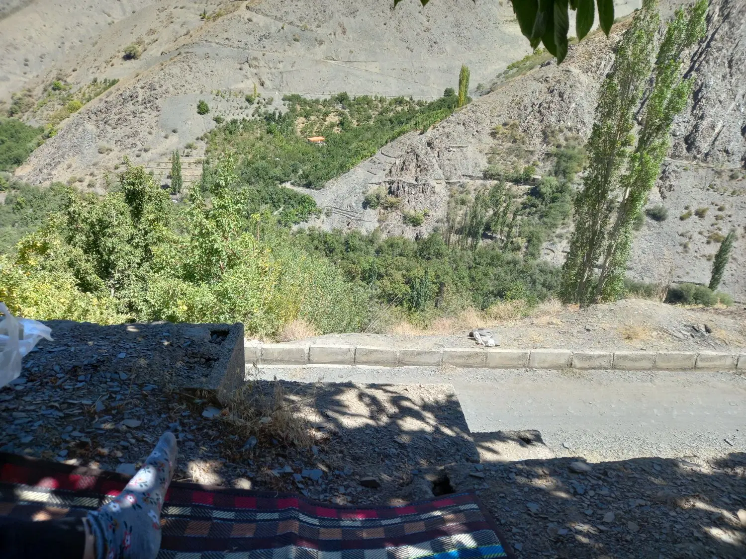 باغچه کوچک