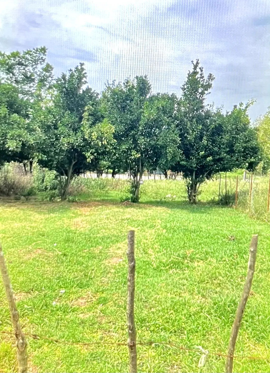 زمین ۴۰۰متری
