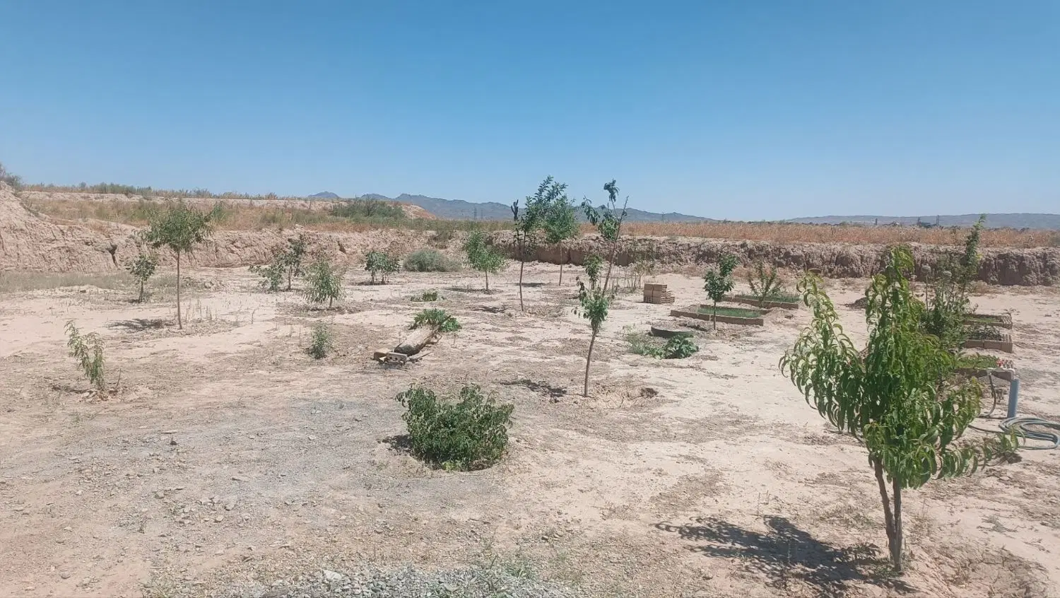 زمین