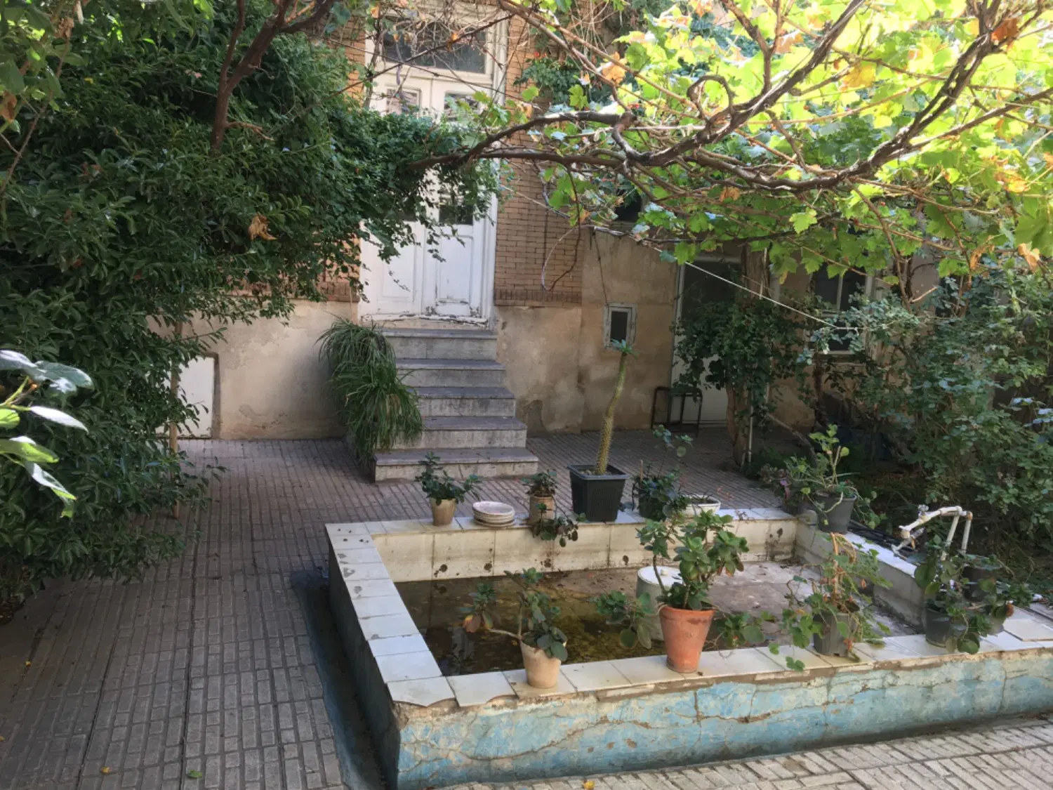 ملک کلنگی