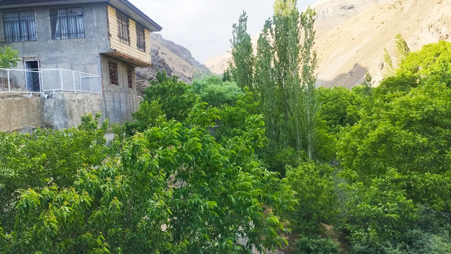 ویو کوه رودخانه باغ 1123متر_بنا 160_معاوضه
