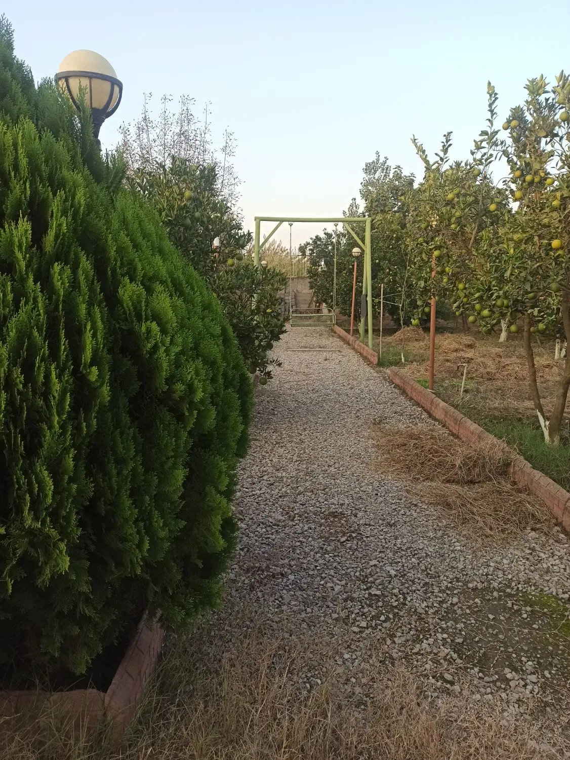 یک هکتار زمین معاوضه آپارتمان