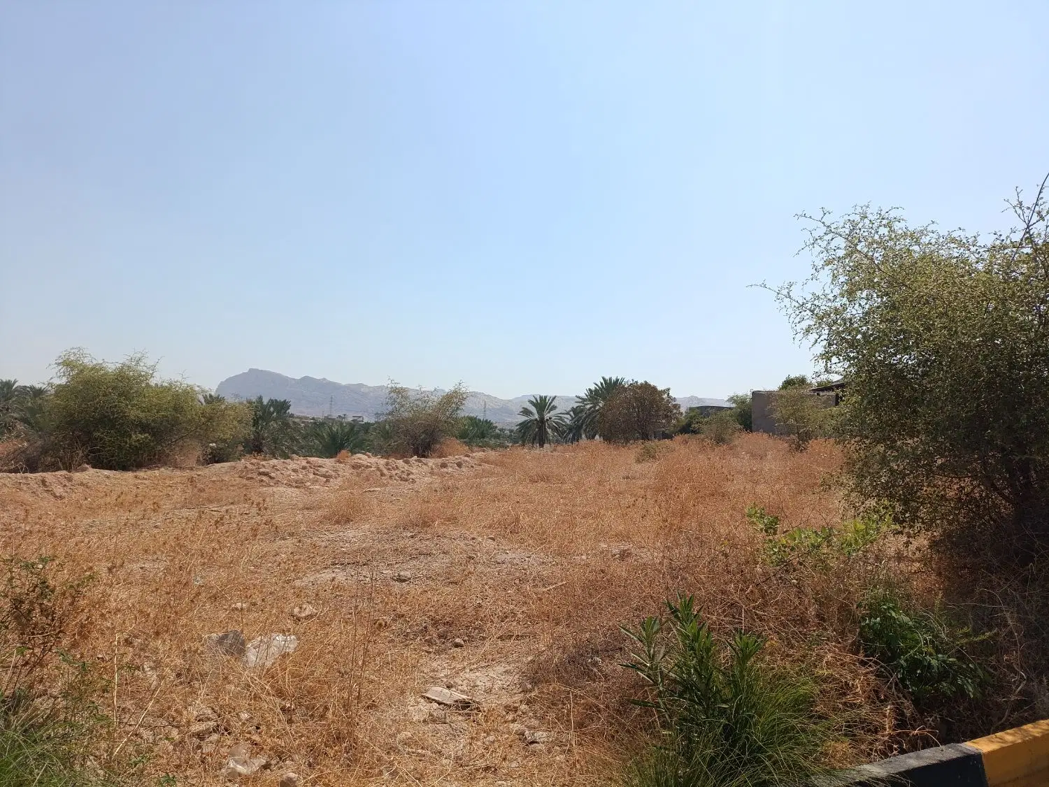 زمین مسکونی