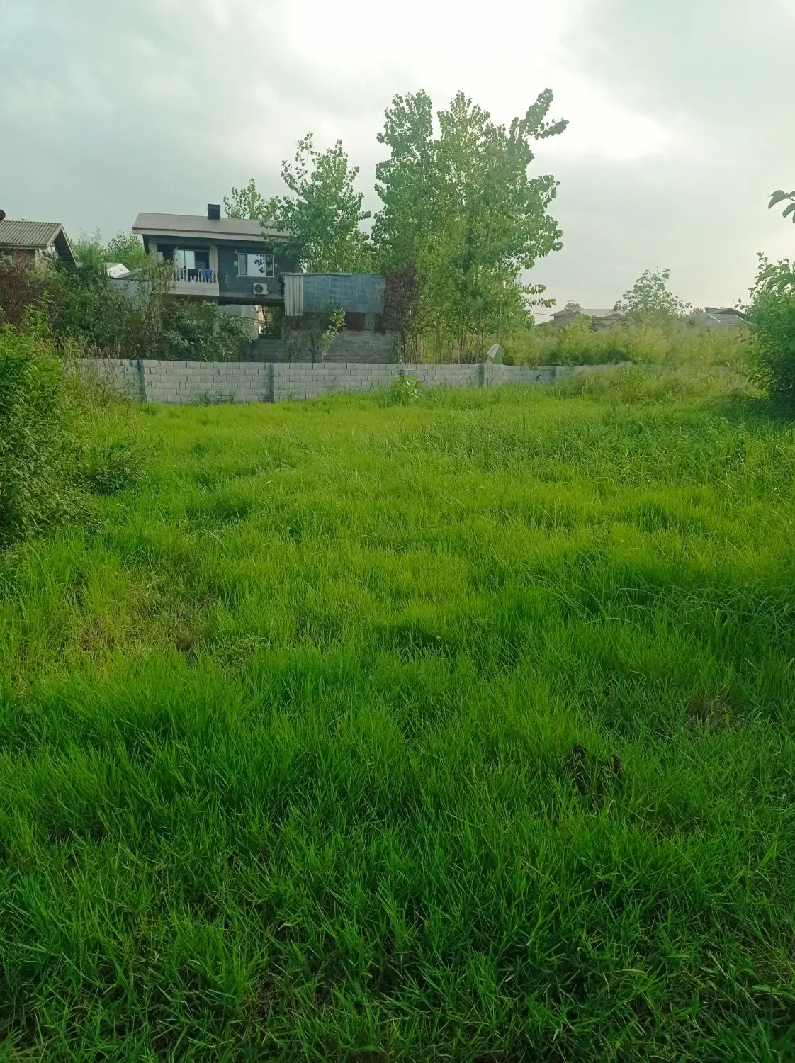 زمین در حوزه لاهیجان بر خیابان اصلی و زمین مسکونی