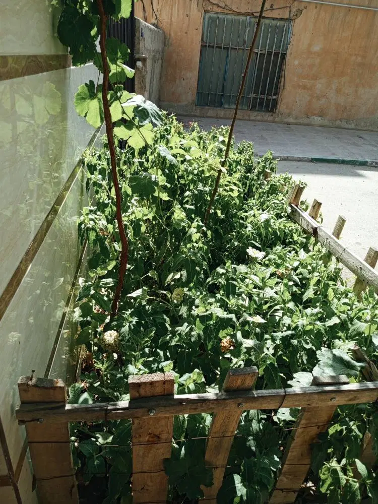 فروش منزل مسکونی