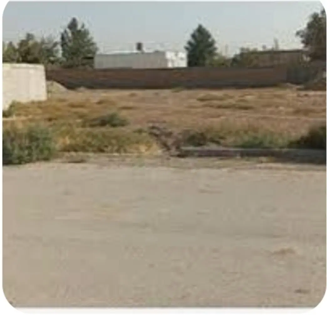 فروش 1000 متر زمین روستای بیدو قیمت توافقی