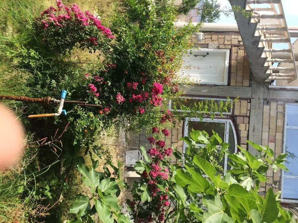 اجاره سالیانه ویلا نوساز واقع در رضوانشهر گیلان
