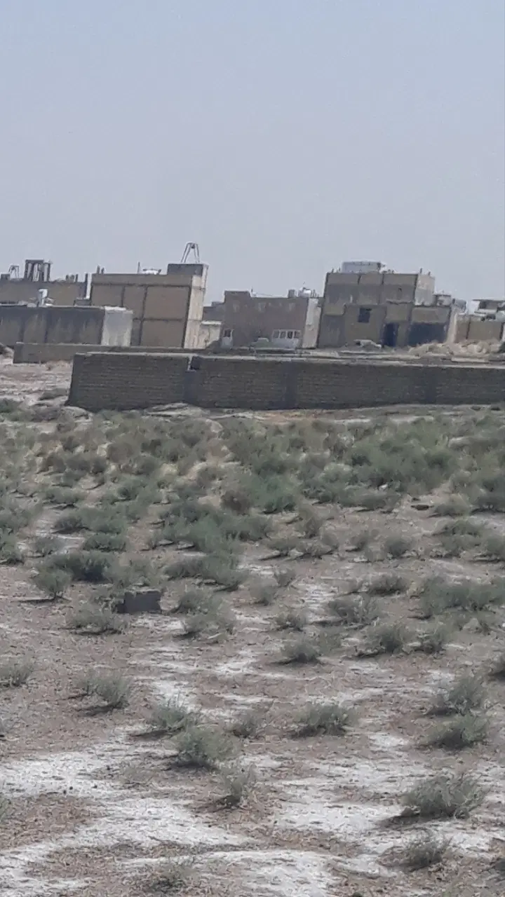 زمین ۱۵۰متری دربحیاط