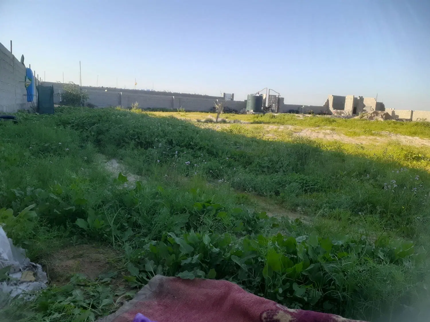 خونه باغ