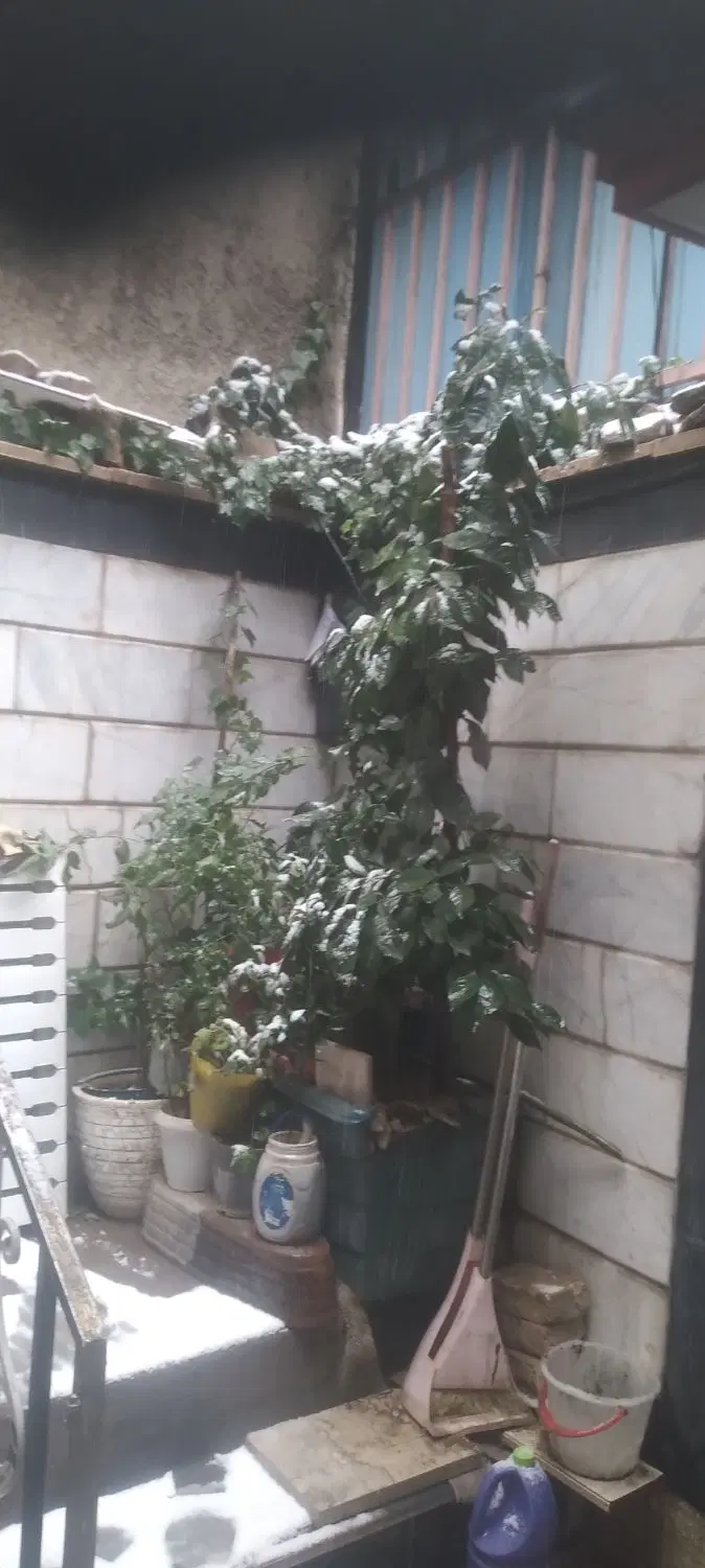 اجاره ملک شخصی دو طبقه ای طبقه همکف