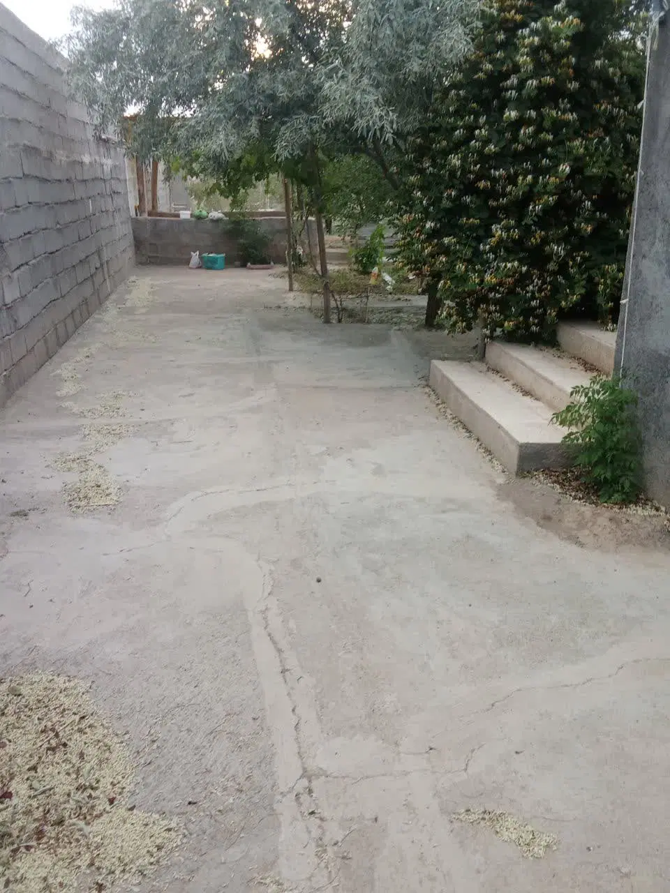باغ فروشی در روستای زاک