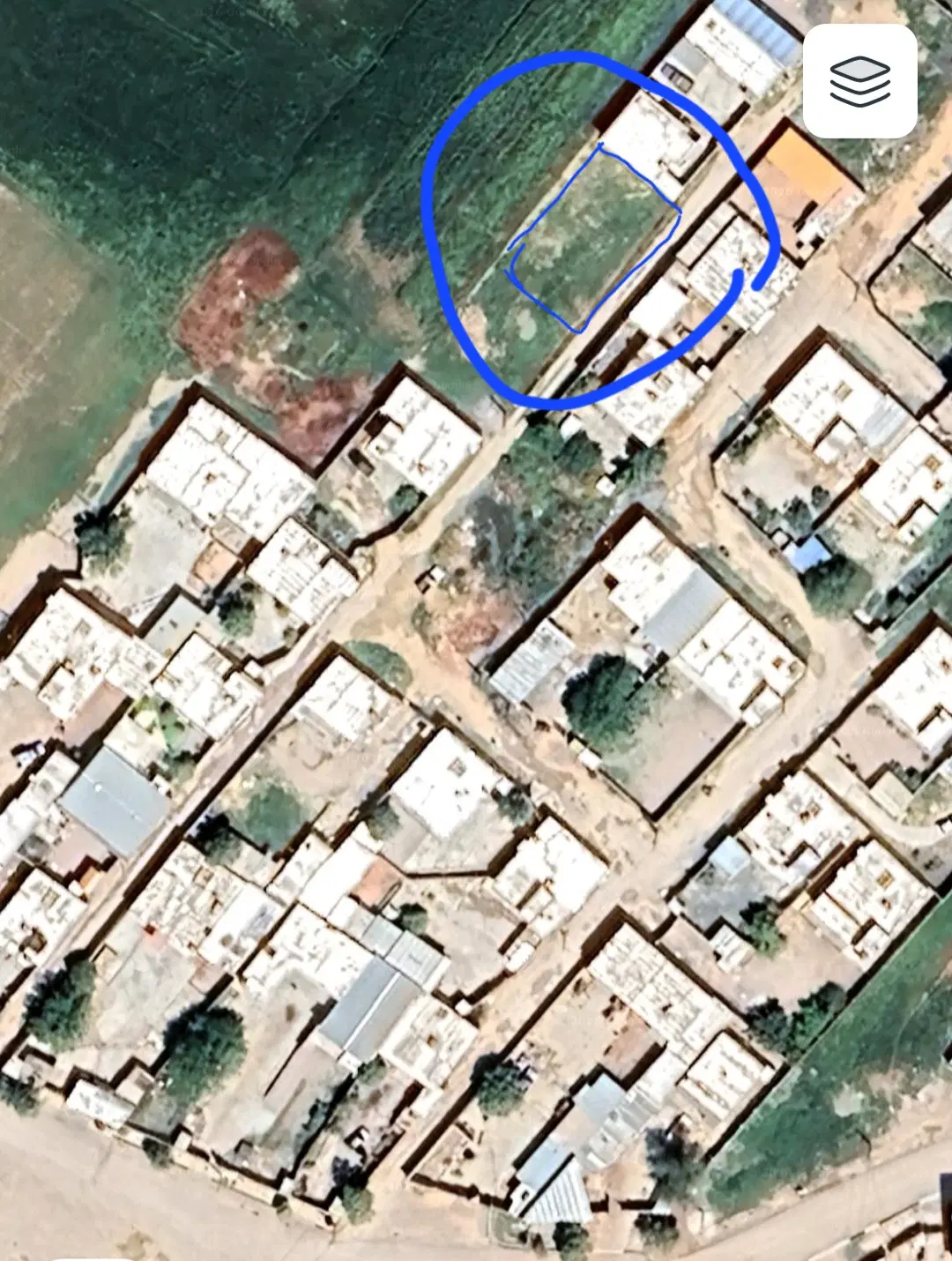زمین سیاه بید داخل طرح