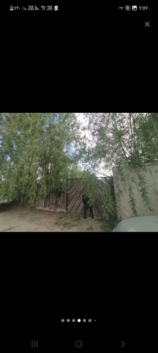 باغ مثمر میوه