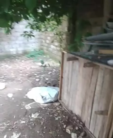 زمین مسکونی