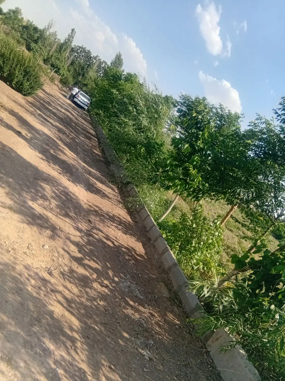 باغچه
