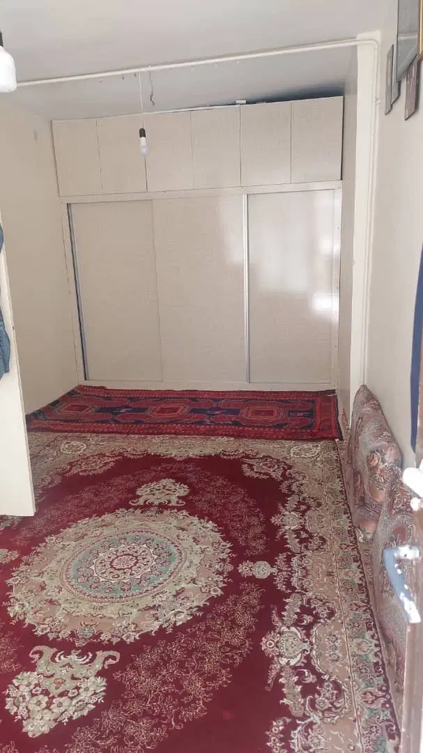 حیاط