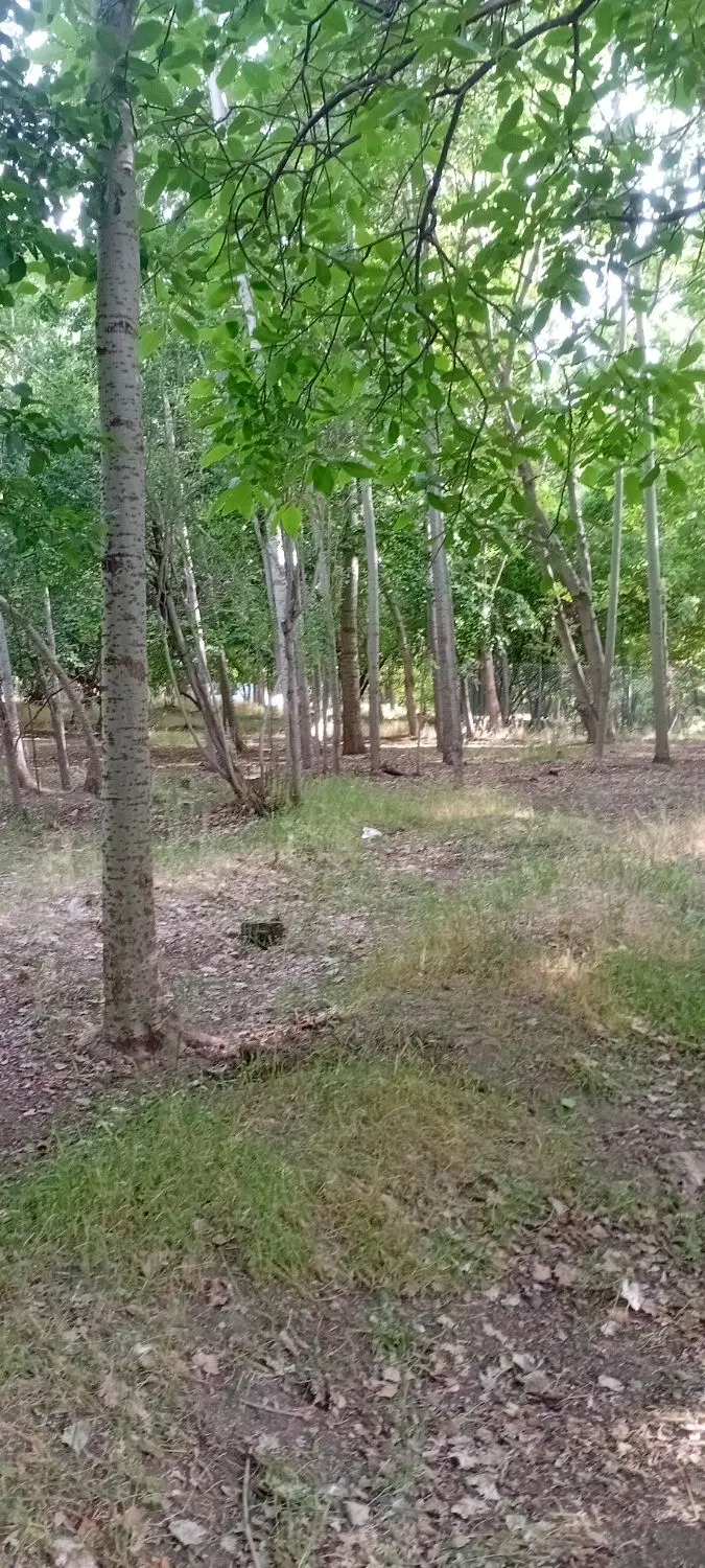 زمین کشاورزی لب رود خانه