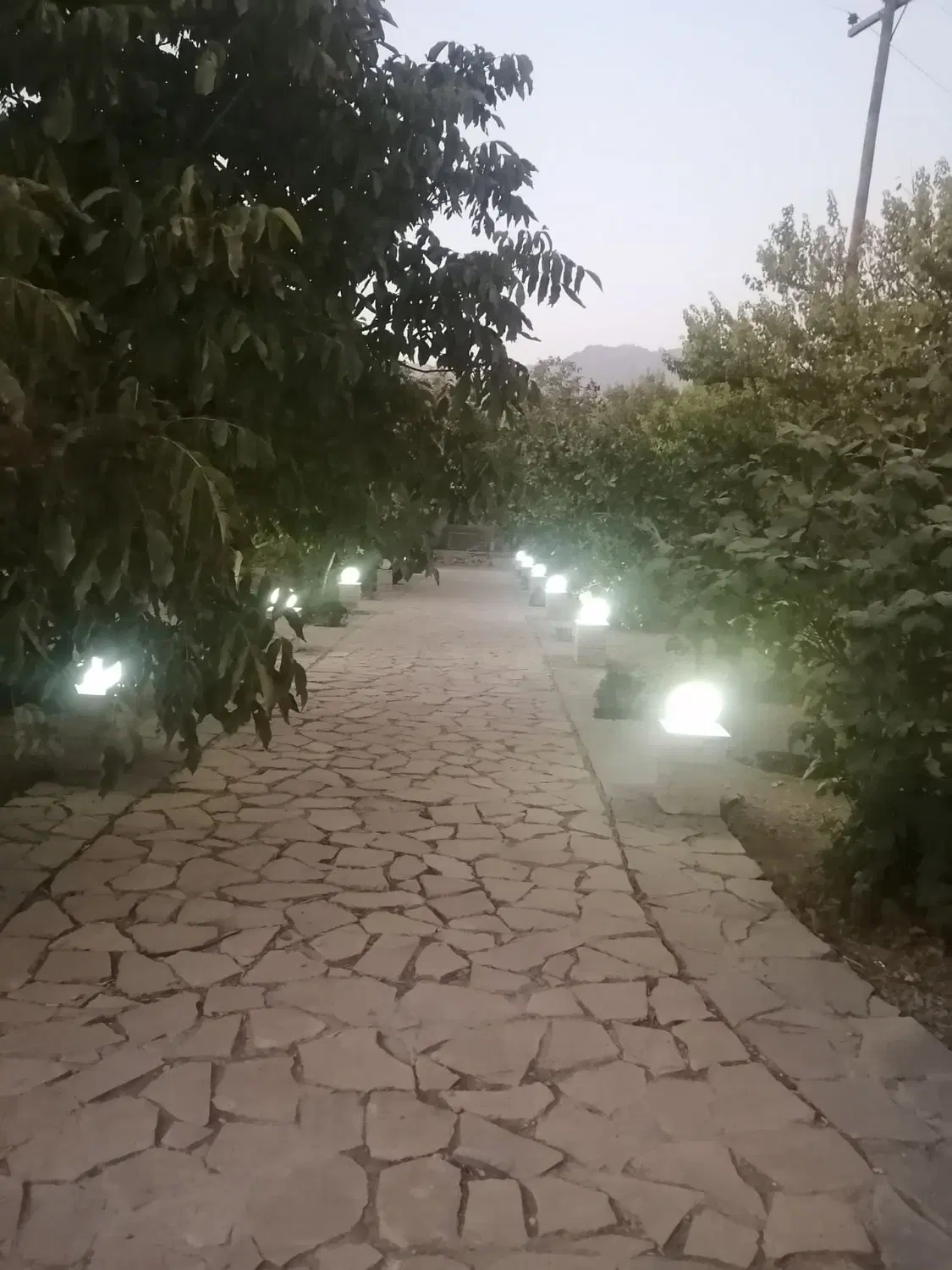 فروش باغ و ویلا