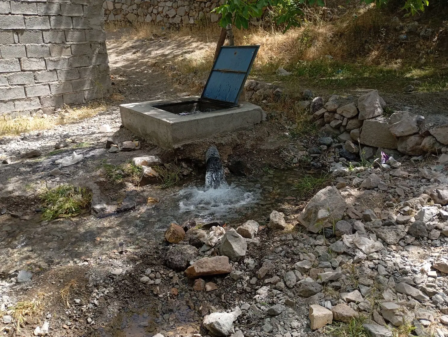 زمین کشاورزی وباغ