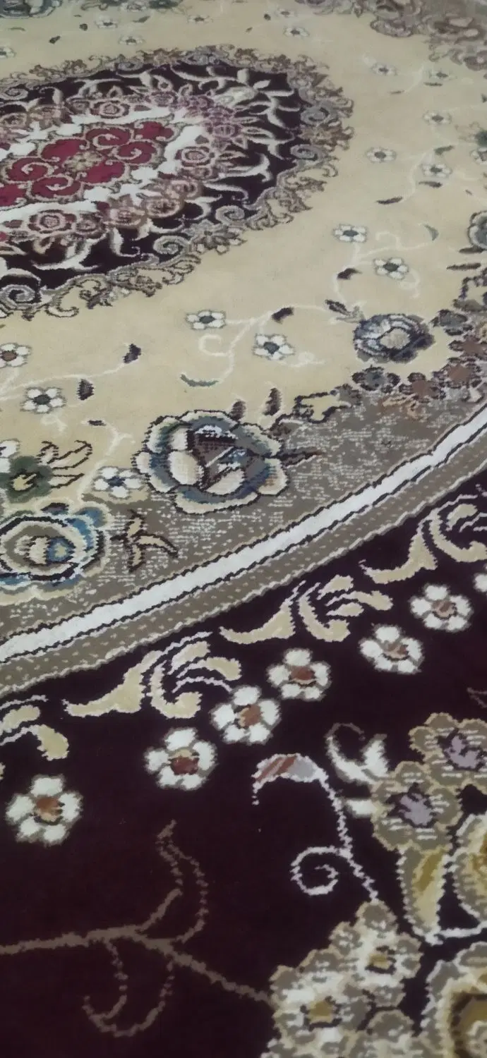 خانه اجاره ای پیربخش