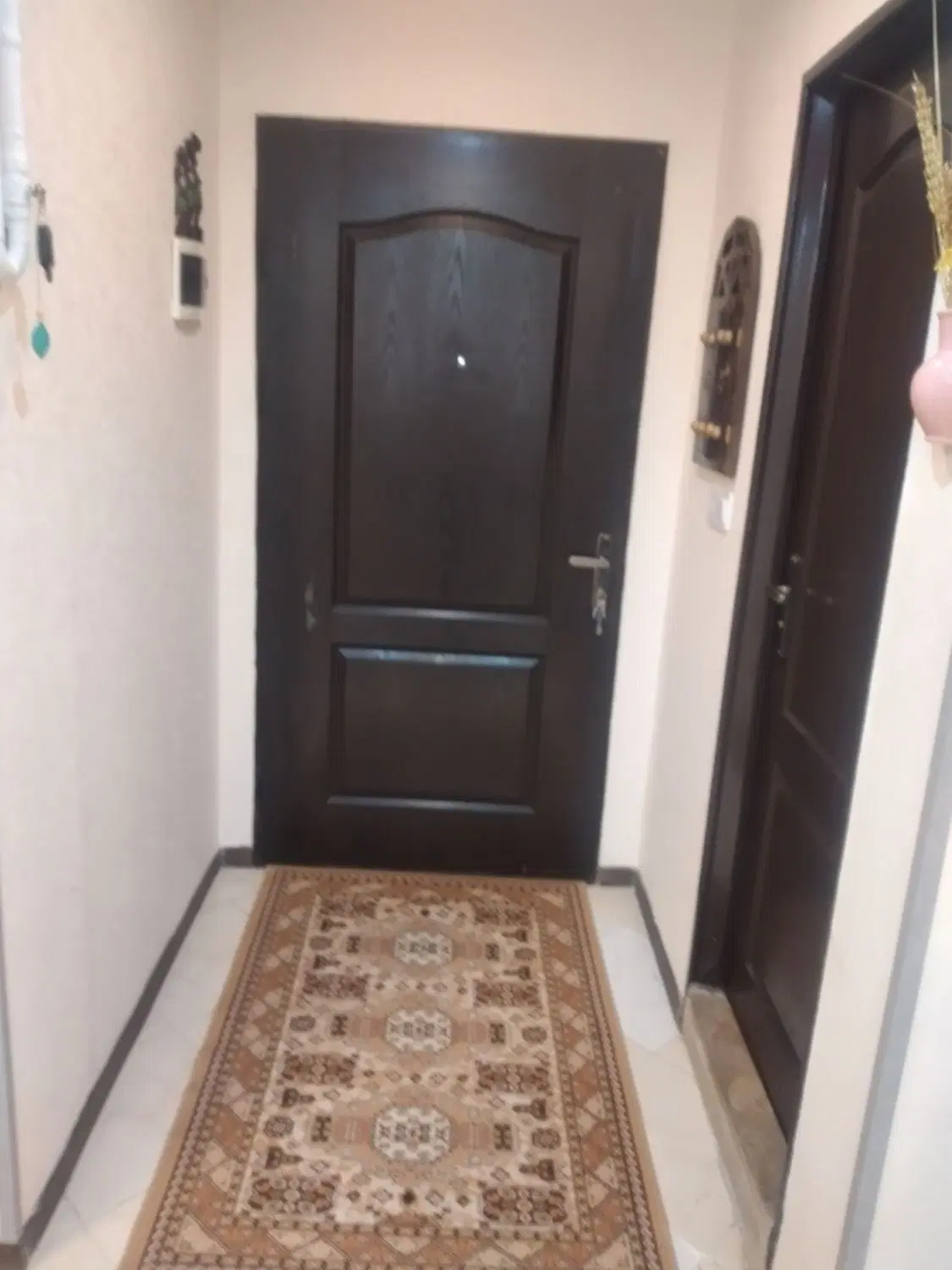 تک خواب ۵۸متری هسا یک فول لاکچری