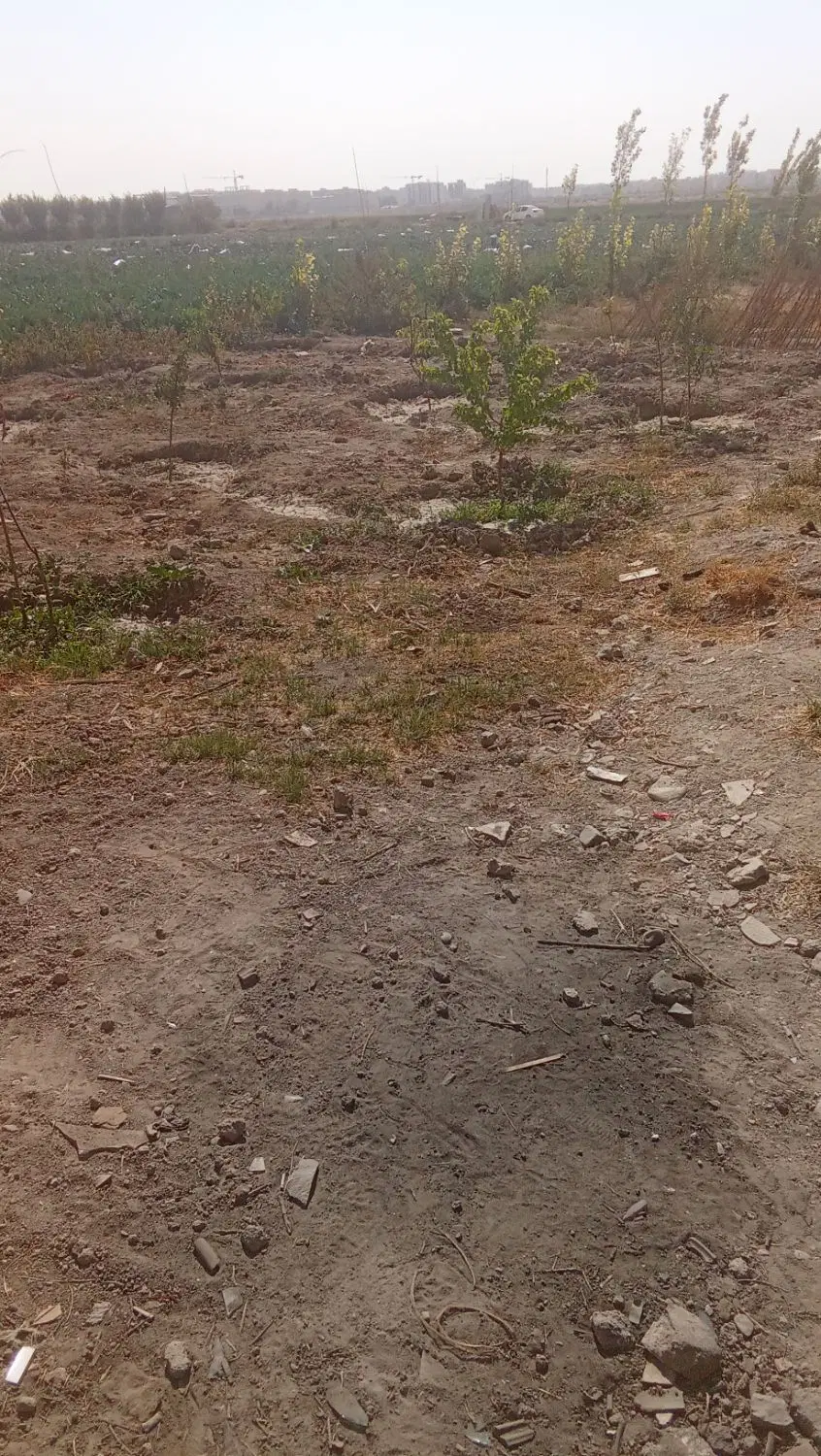 زمین باغچه ای به متراژ 272مترمربع