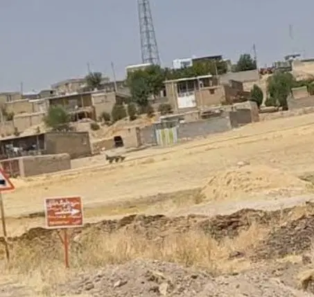 یک قطعه زمین ۱۰۰ متری