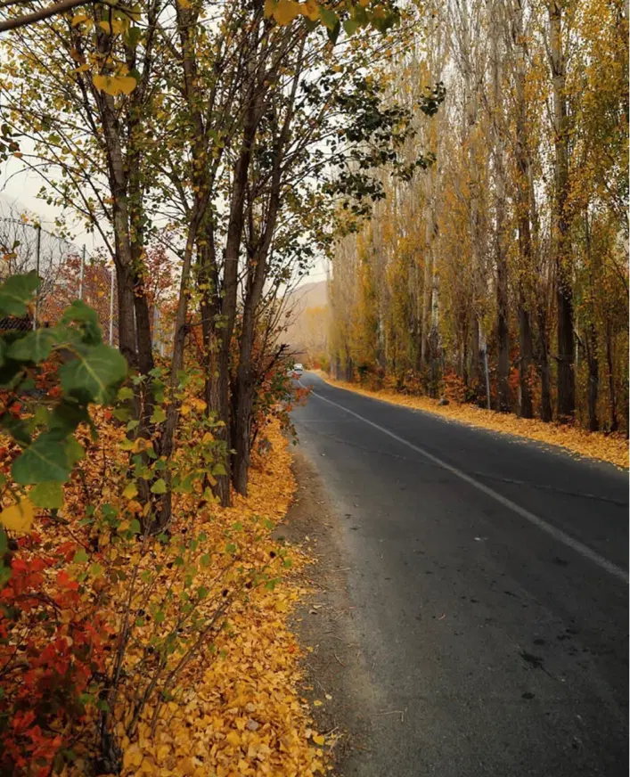 ارنگه دهکده توریستی سرزیارت