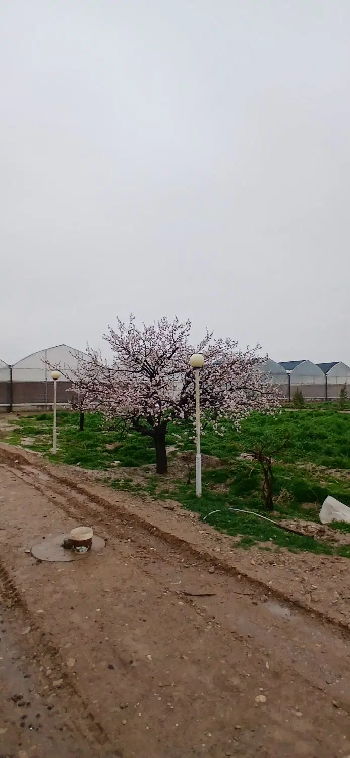 فروش گلخانه