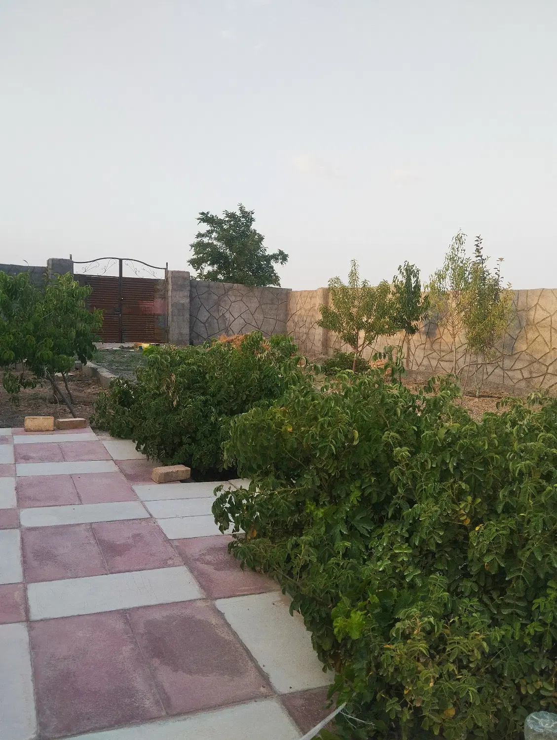 باغ ۶۰۰ متری با درختان ۵ساله