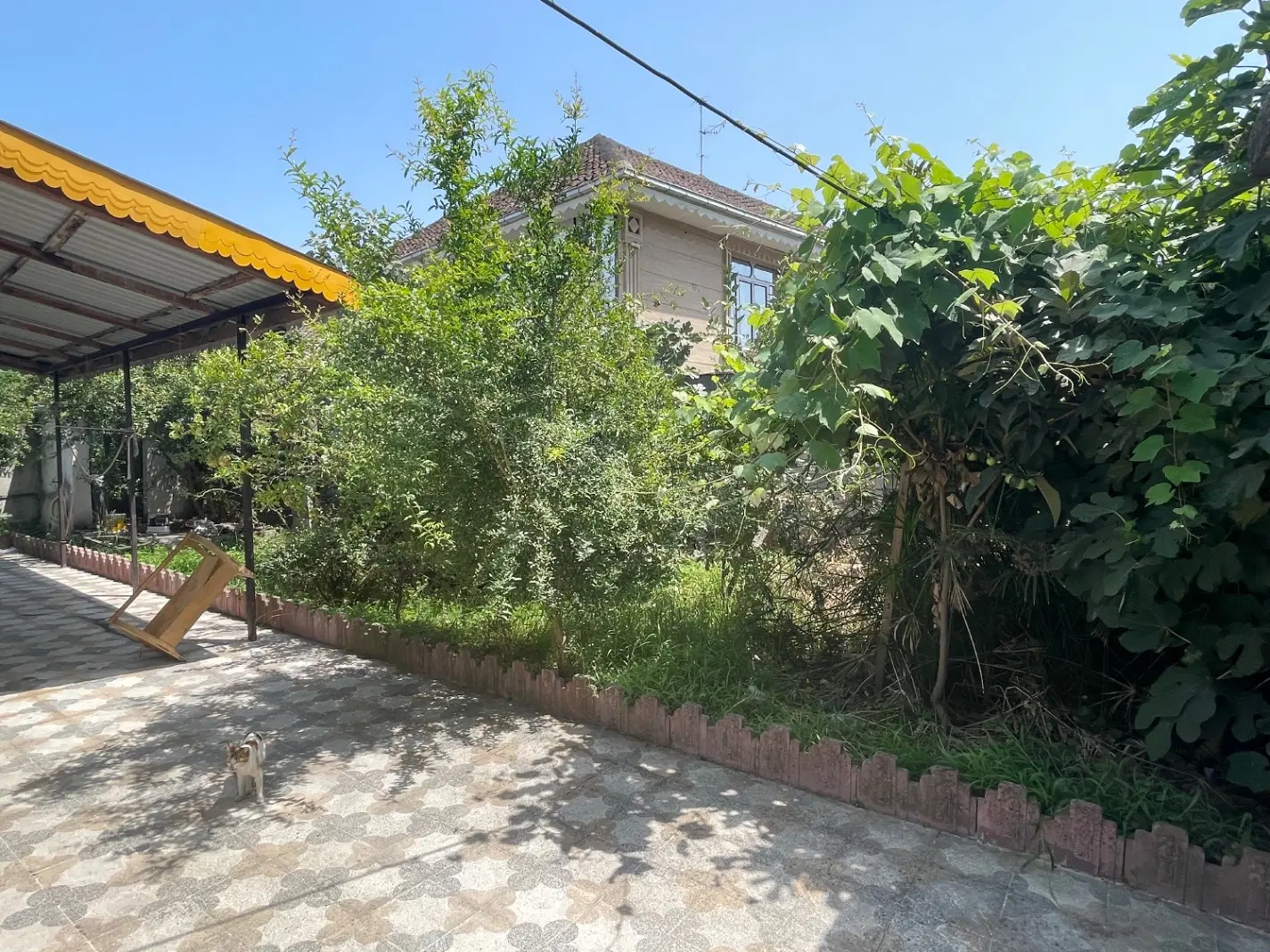 اجاره و فروش برای ( امبار ) و ( سوله )
