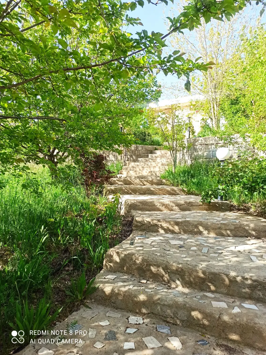 باغ 1000متری خانه زنیان