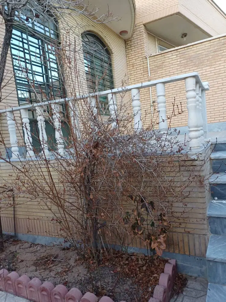 رهن و اجاره منزل ویلایی