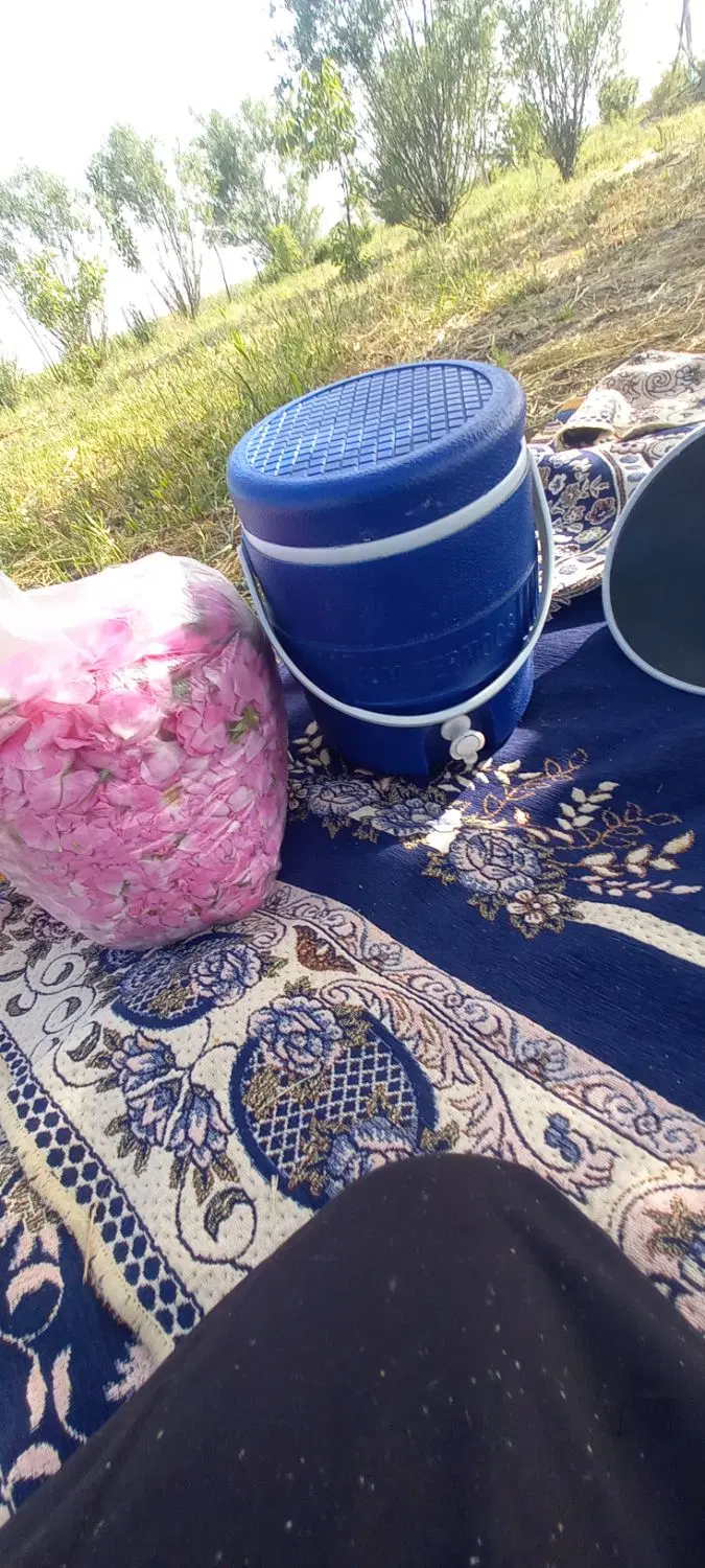 فروش ۲ قطعه باغ ۶ساله میاندربند