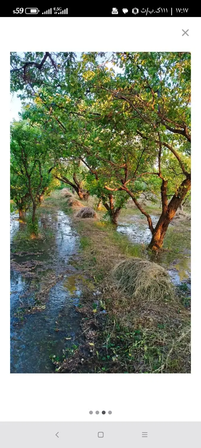 باغ زمین امام زاده
