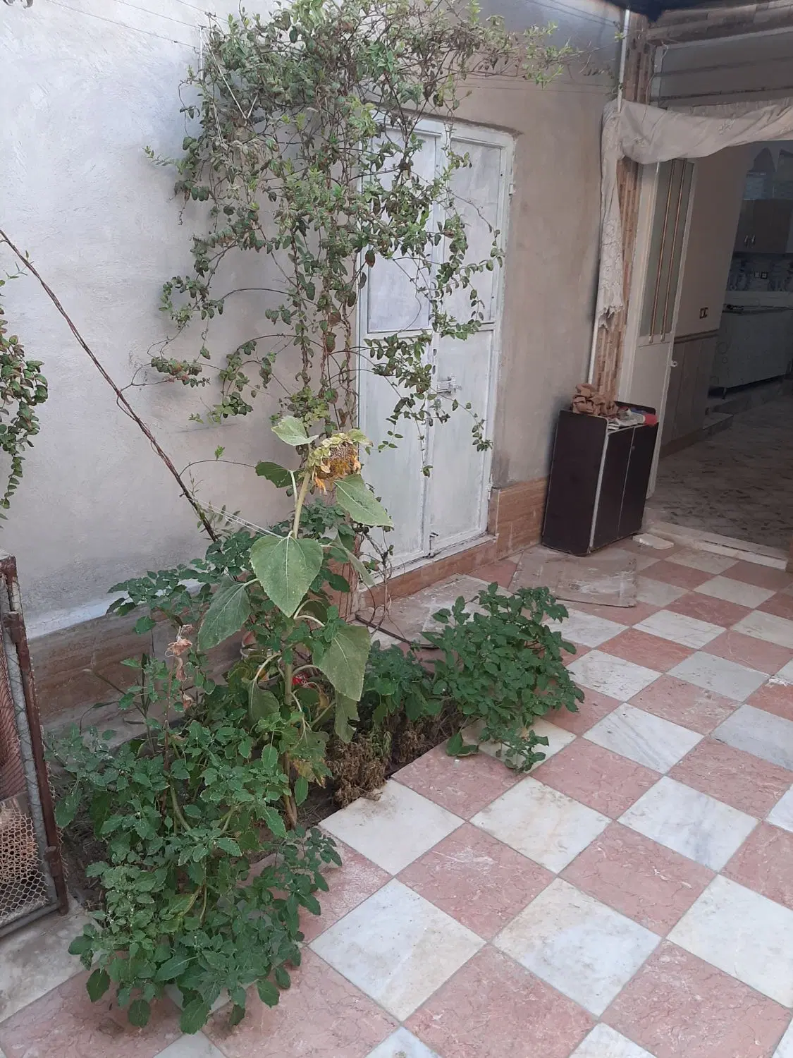 اجاره منزل ویلایی مستقل نوساز یک خواب. مرادقلی