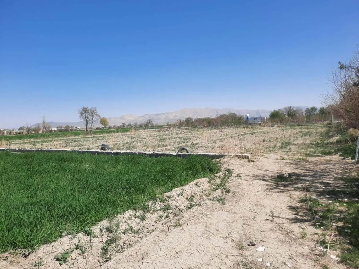 زمین کشاورزی