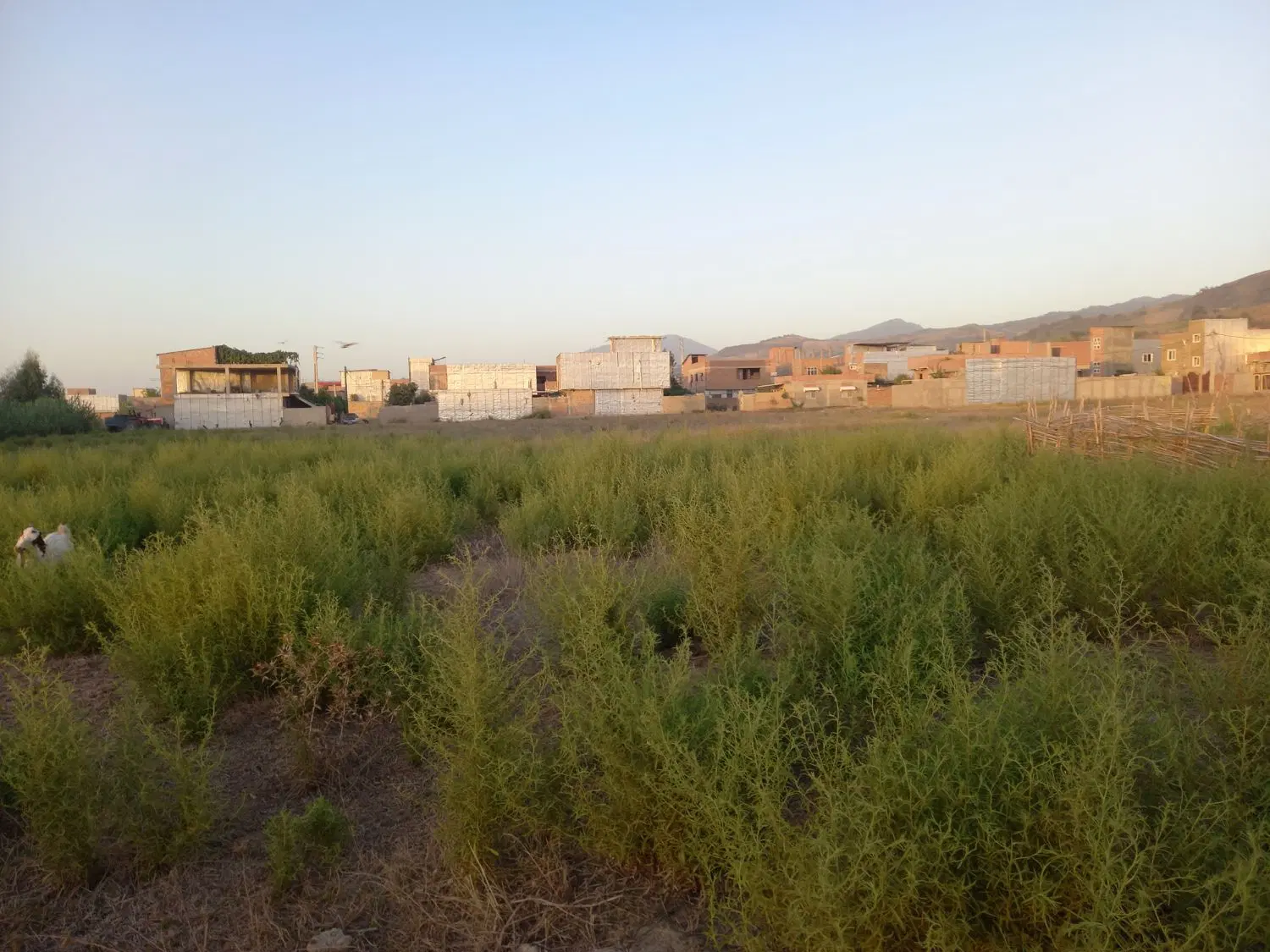 فروش زمین مسکونی