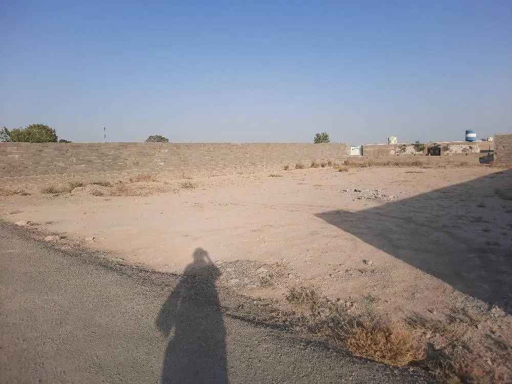 زمین زراعی باغی