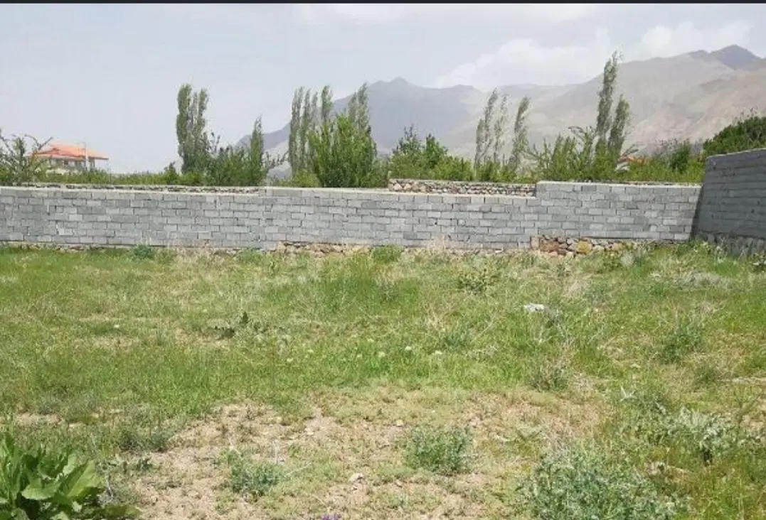 زمین دهملایی